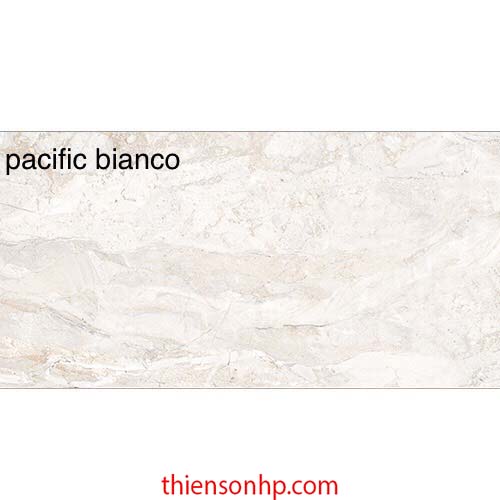 Gạch Ấn Độ Pacific Bianco