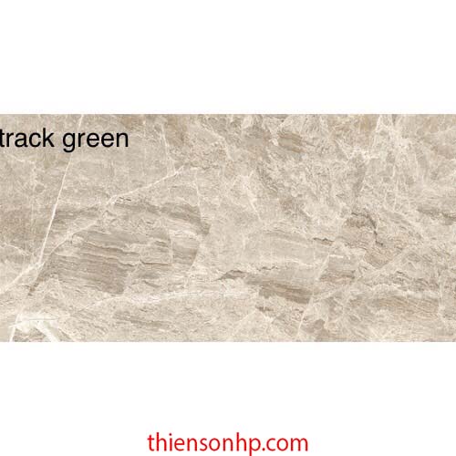 Gạch Ấn Độ Track Green