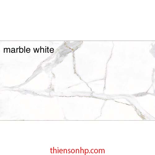 Gạch Ấn Độ Marble White