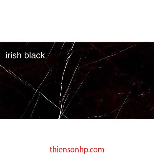 Gạch Ấn Độ Irish Black