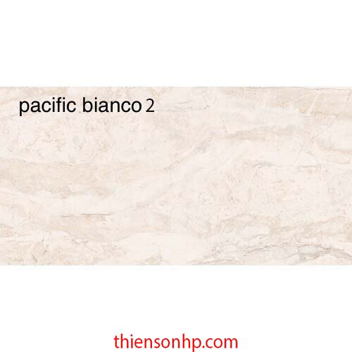 Gạch Ấn Độ Pacific Bianco 2