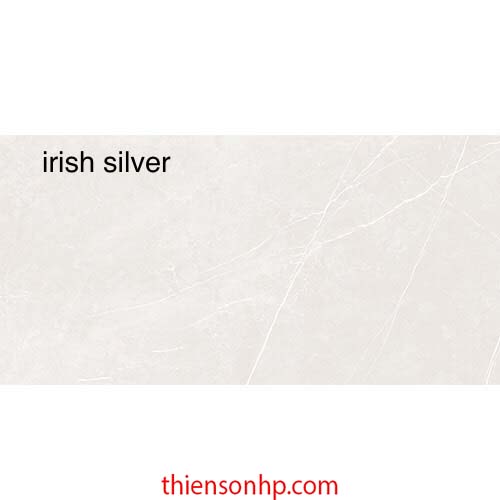 Gạch Ấn Độ Irish Silver