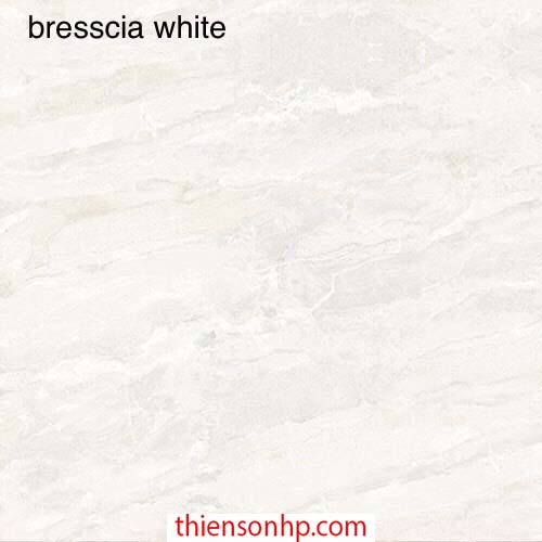 Gạch Ấn Độ Bresscia White 2