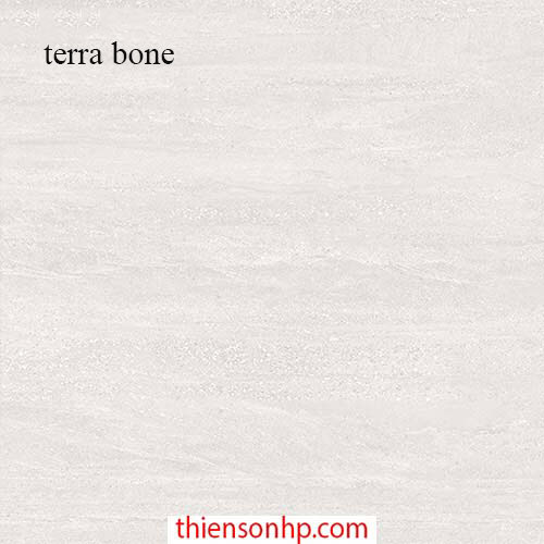 Gạch Malaysia Terra Bone 