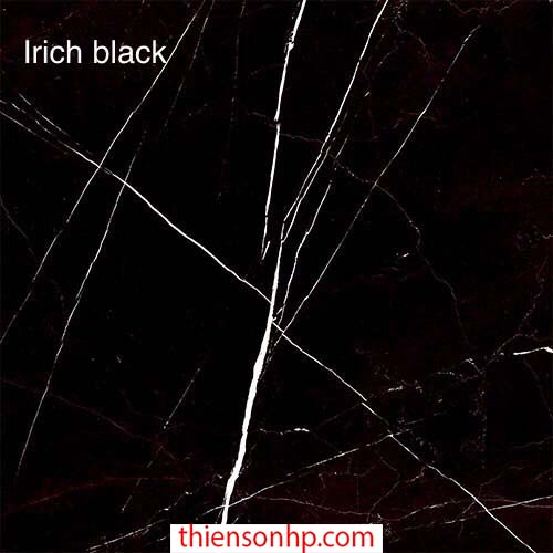 Gạch Ấn Độ Irich Black