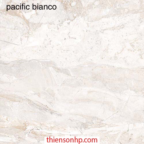 Gạch Ấn Độ Pacific Bianco 3