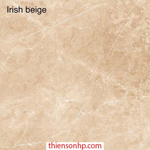 Gạch Ấn Độ Irish Beige 2