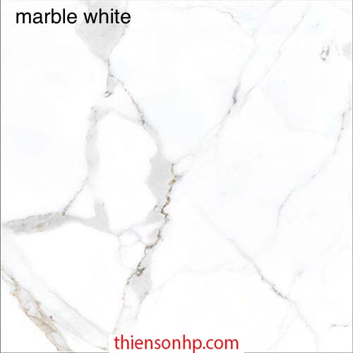 Gạch Ấn Độ Marble White 2