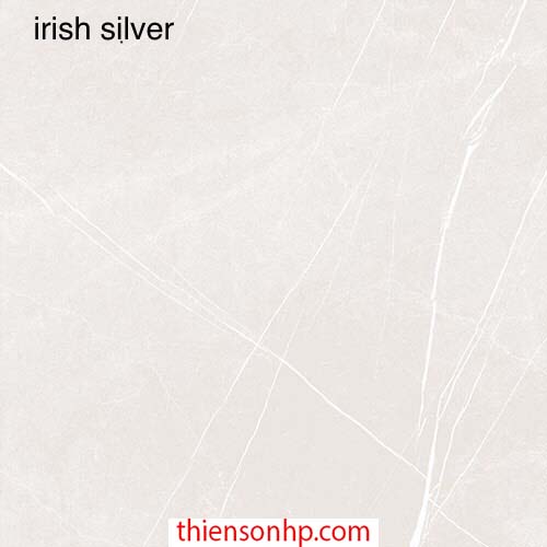 Gạch Ấn Độ Irish Silver 2