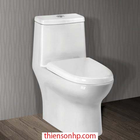 Bồn Cầu Ceravi C504 1 Khối