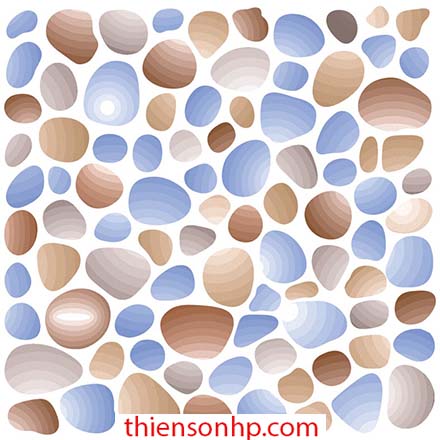 Gạch Việt Nam Prime 7