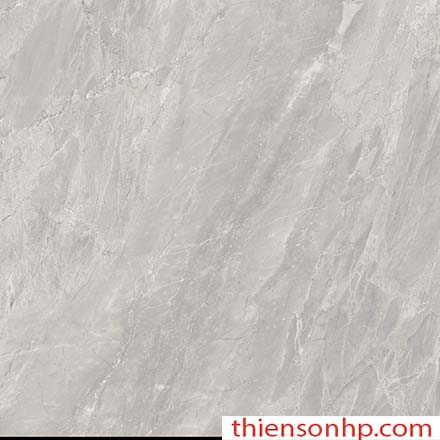 Gạch Trung Quốc 801