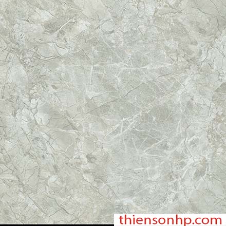 Gạch Trung Quốc 813