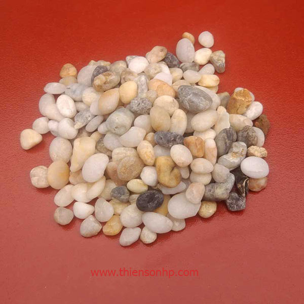 Sỏi tự nhiên ngô to
