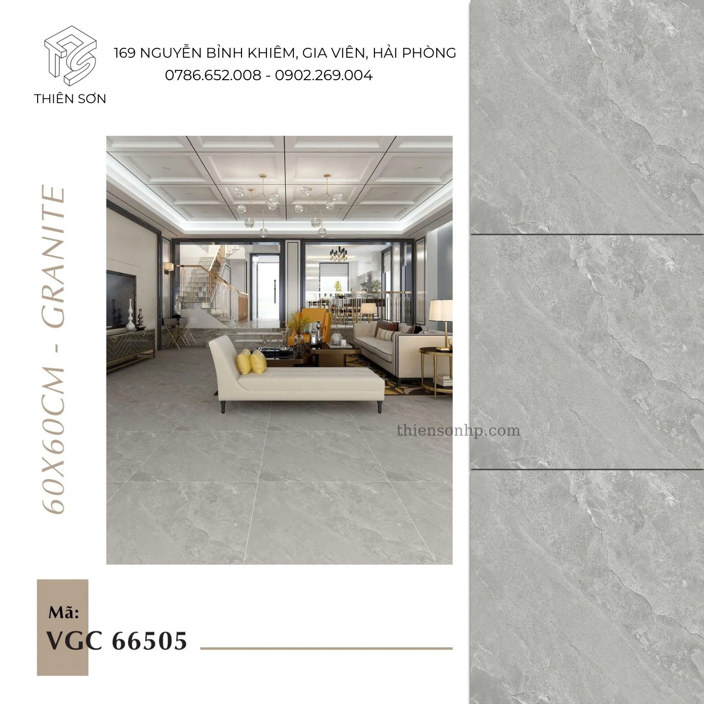 Gạch vân đá tự nhiên VGC 66505