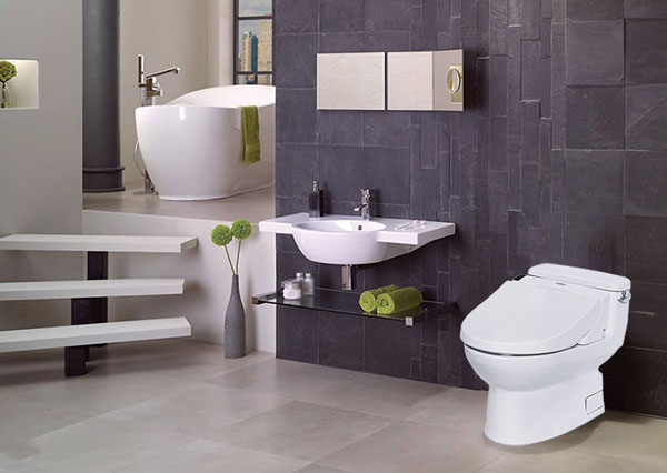 Thiết bị vệ sinh tại quận Ngô Quyền thiet bi ve sinh tai quan ngo quyen